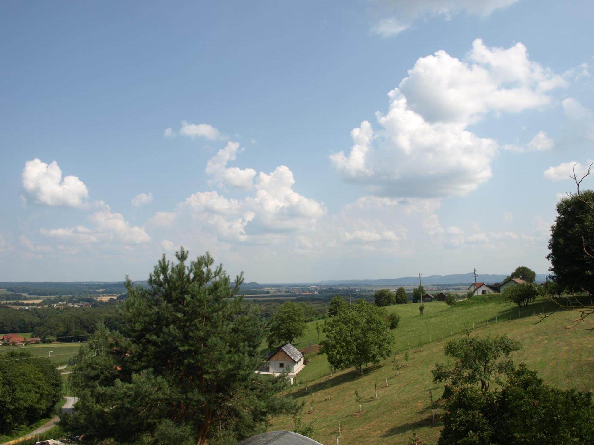 Visota * Ptuj