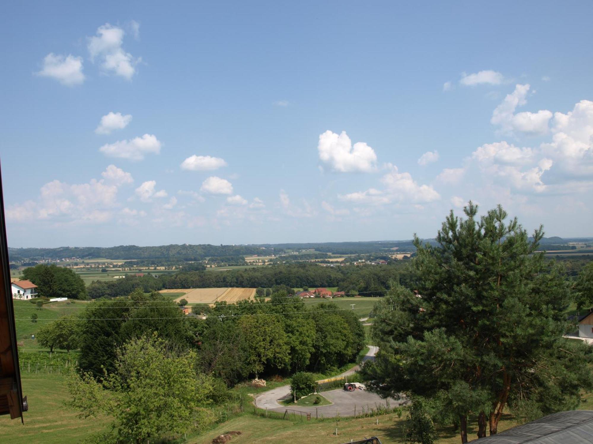 Visota * Ptuj